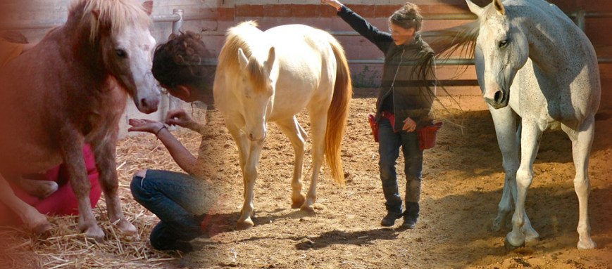לבנות תקשורת אחרת – על רגשות ותקשורת מבוססת חיזוקים חיוביים