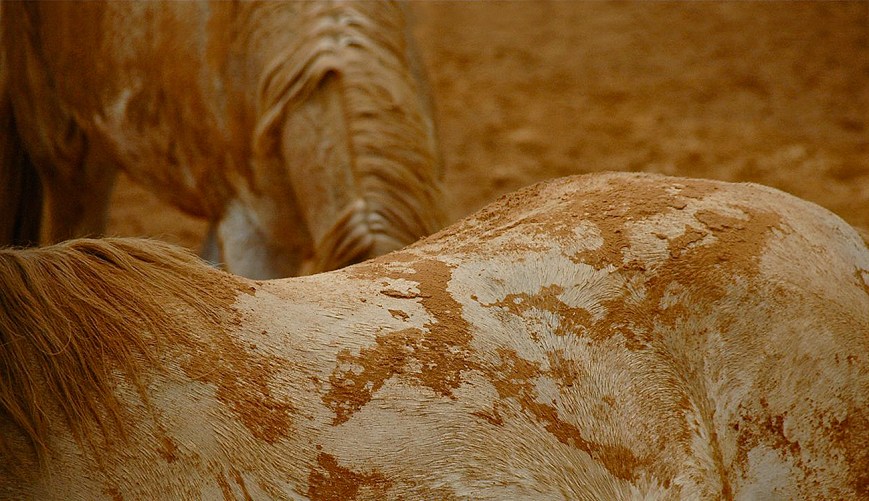 על זמן, תהליכי למידה והקשר בינהם