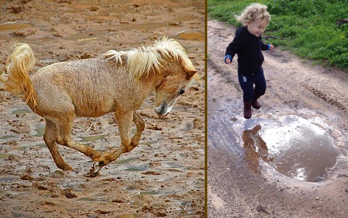 לחשוב מחדש על סוסים ותנועה
