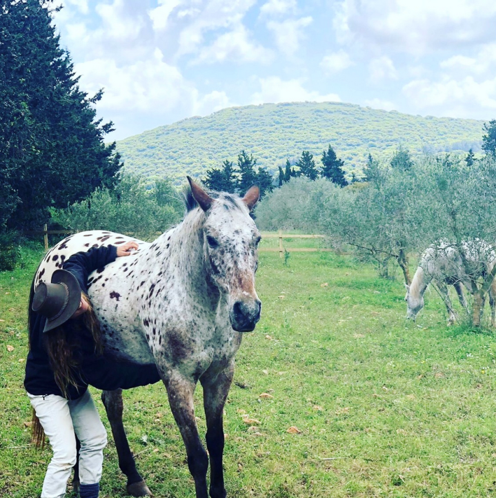 Screen Shot 2019-06-25 at 12.13.12 PM