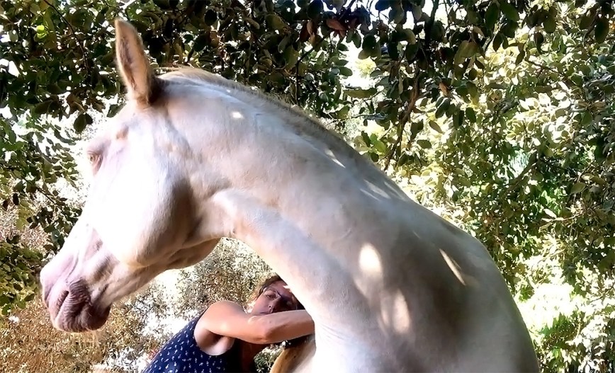 עם הפנים לשנה החדשה