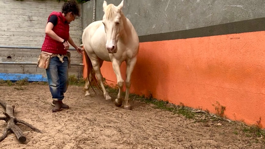 קורסים חדשים שמתווספים