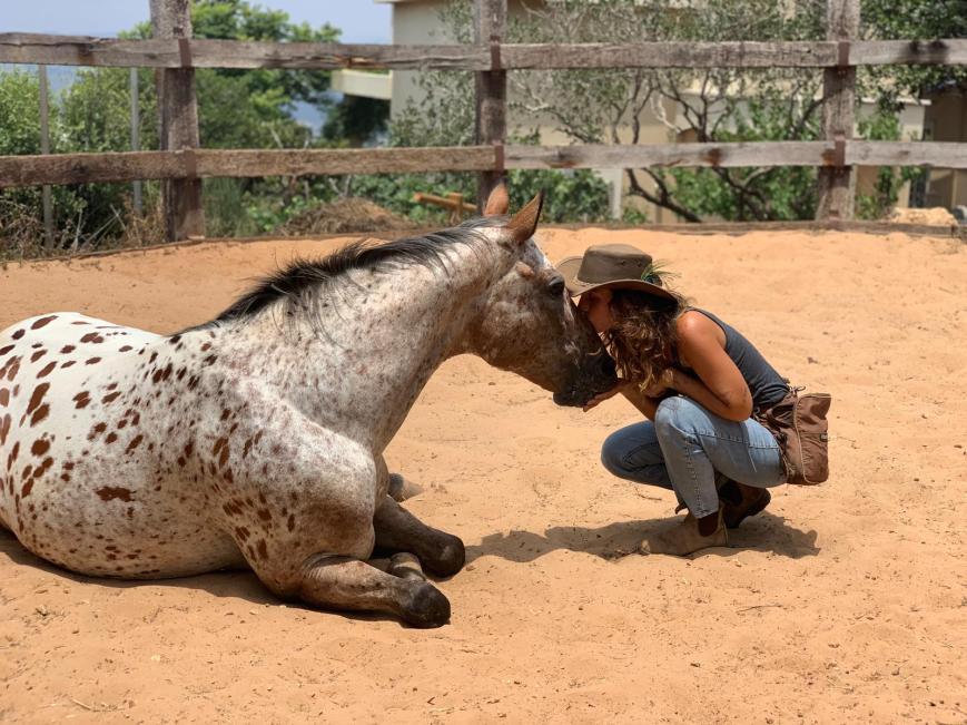 הדס עברי כותבת על המחזור החדש לתכנית שיפתח בקרוב